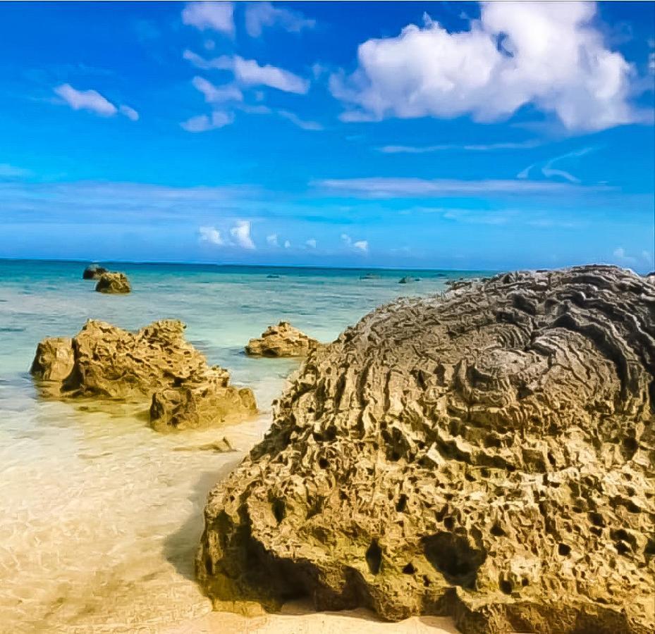 Palm Villa Ishigakijima Yugafu Ishigaki  Ngoại thất bức ảnh